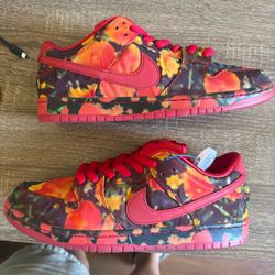 Nike Dunk Low SB Poppy Fields ( Wizard of OZ)