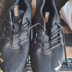 Pumas Shoes