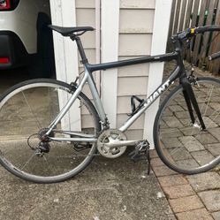 Carbon Fiber Giant Bike 20” Frame