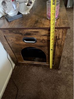 Hidden Litter Box