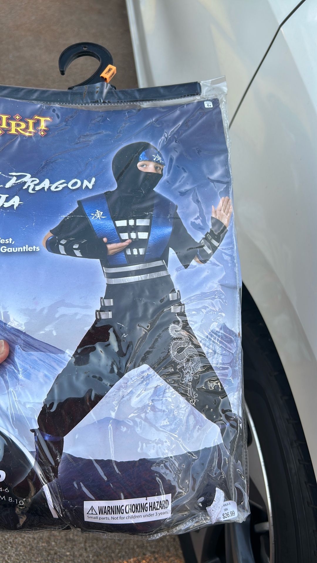 Halloween Costume: Ice dragon ninja