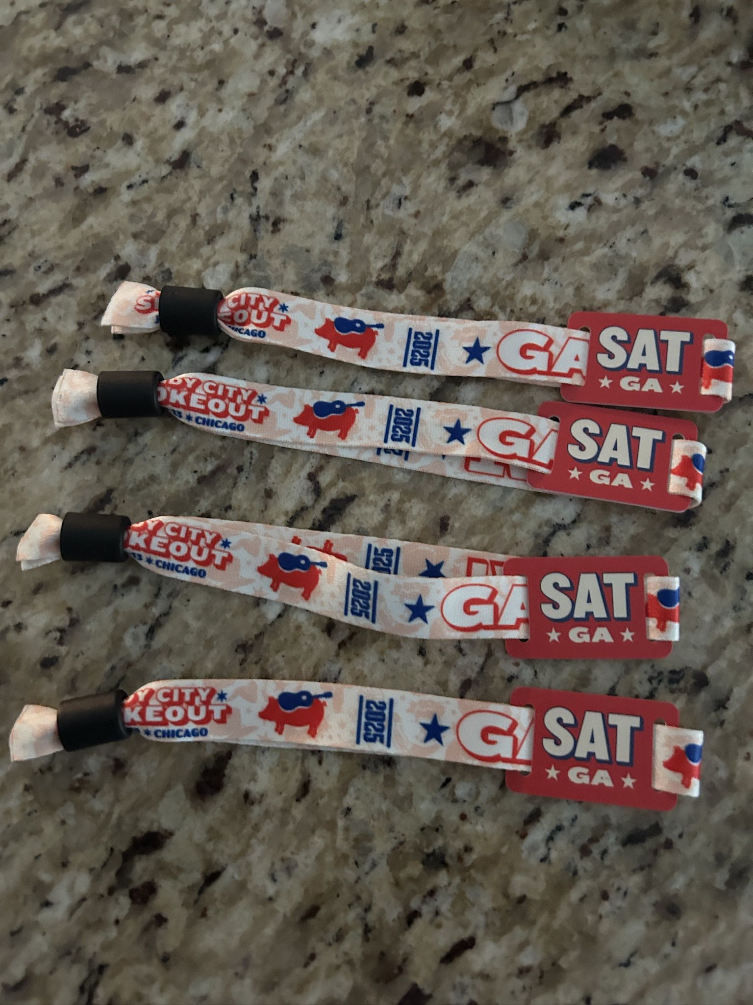 Windy City Smokeout - Saturday GA Bands  