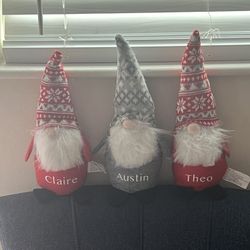 Personalized Gnomes