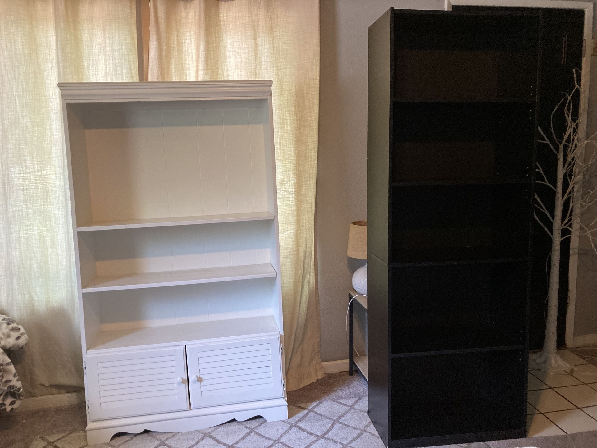 Shelves - $15 Each