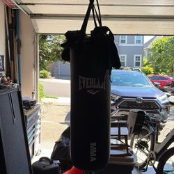Punching Bag, Brand: Everlast MMA