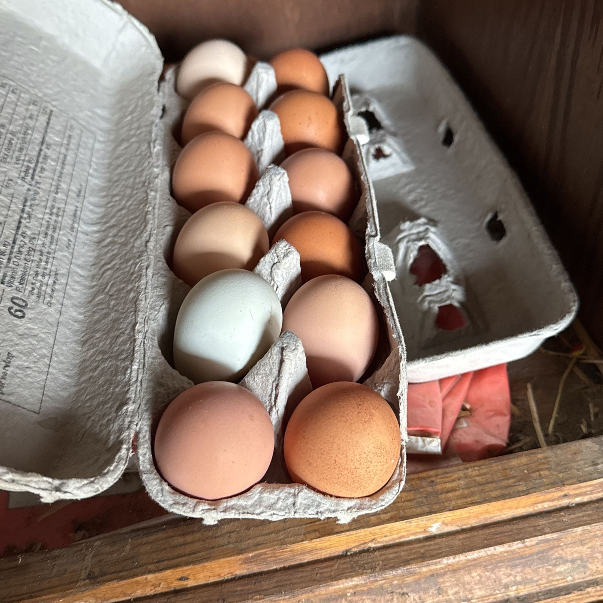 Chicken Eggs Fresh Marysville