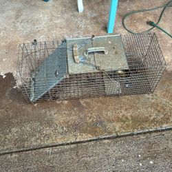 Small Animal Trap