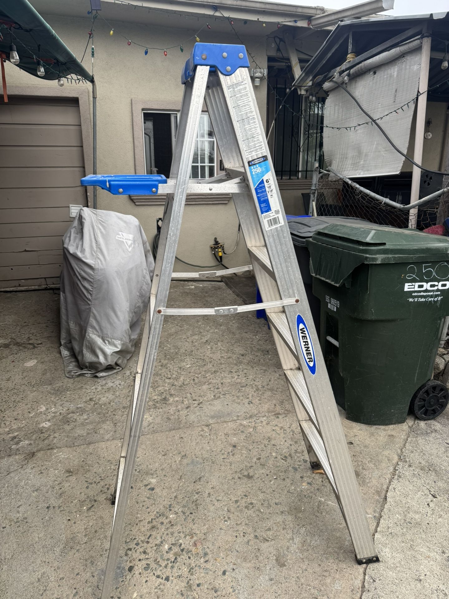 Ladder 6 Ft