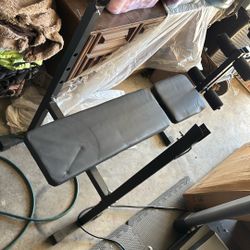 Weight Bench And Weights.