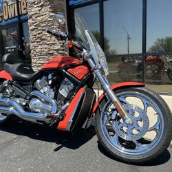 2004 Harley Davidson V-Rod