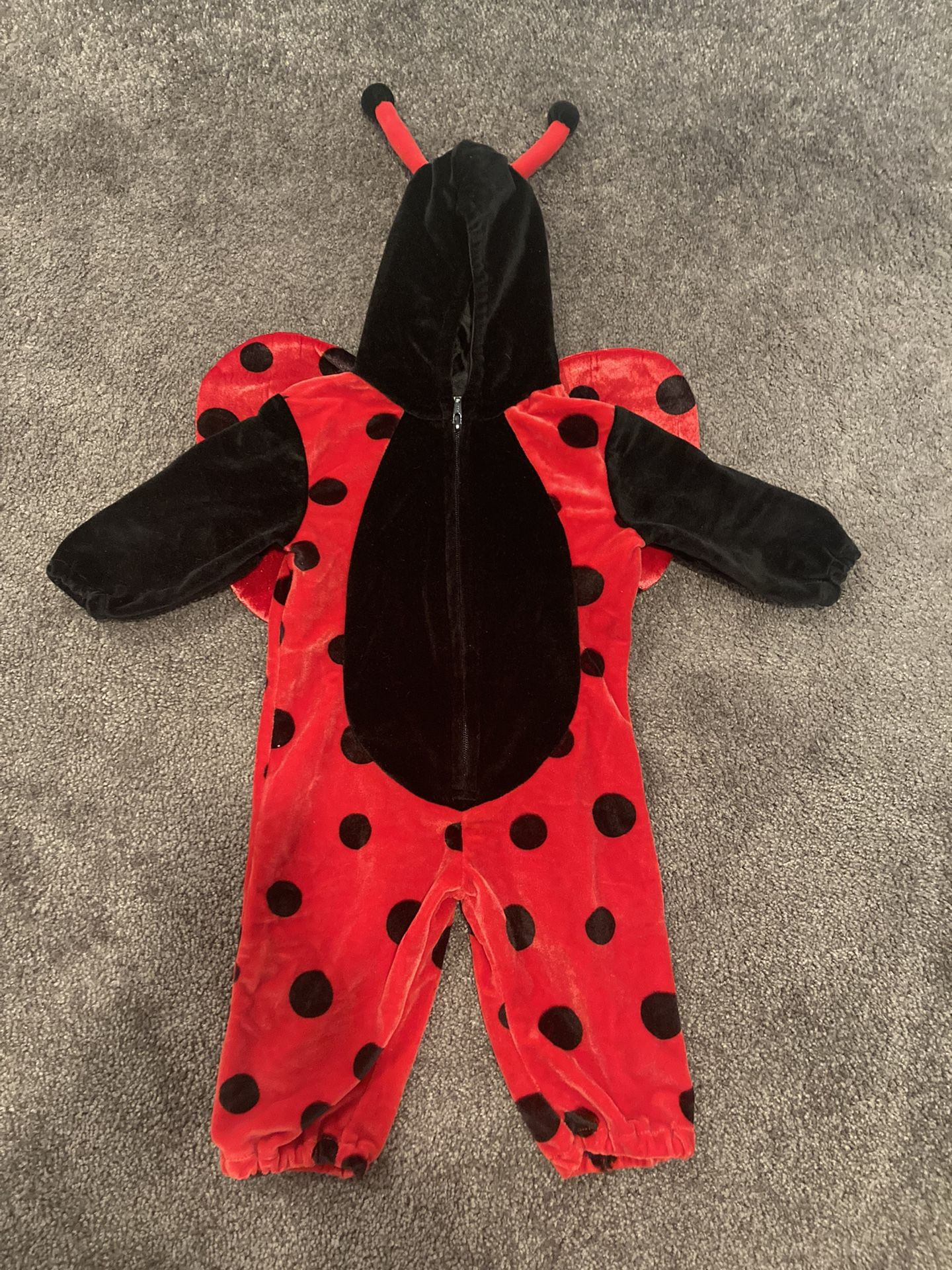 Miniwear Baby Size 12 Months Ladybug Halloween Costume - Like New