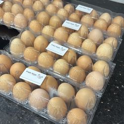 Fresh Eggs, Huevos Criollos Frescos