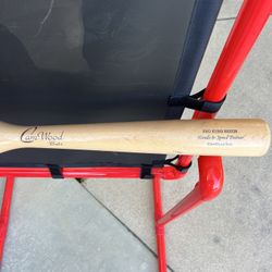 CamWood Training Bat