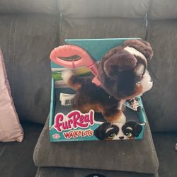 Brand New Dog Toy For $10