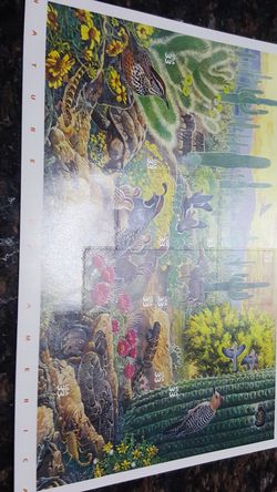 Sonoran desert postage stamps full mint sheet mnh, 1999