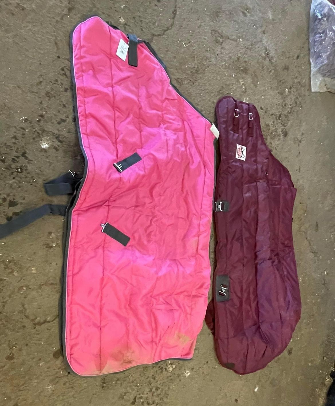 Horse Blankets And Tack