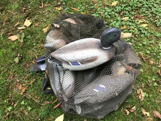 Duck decoys