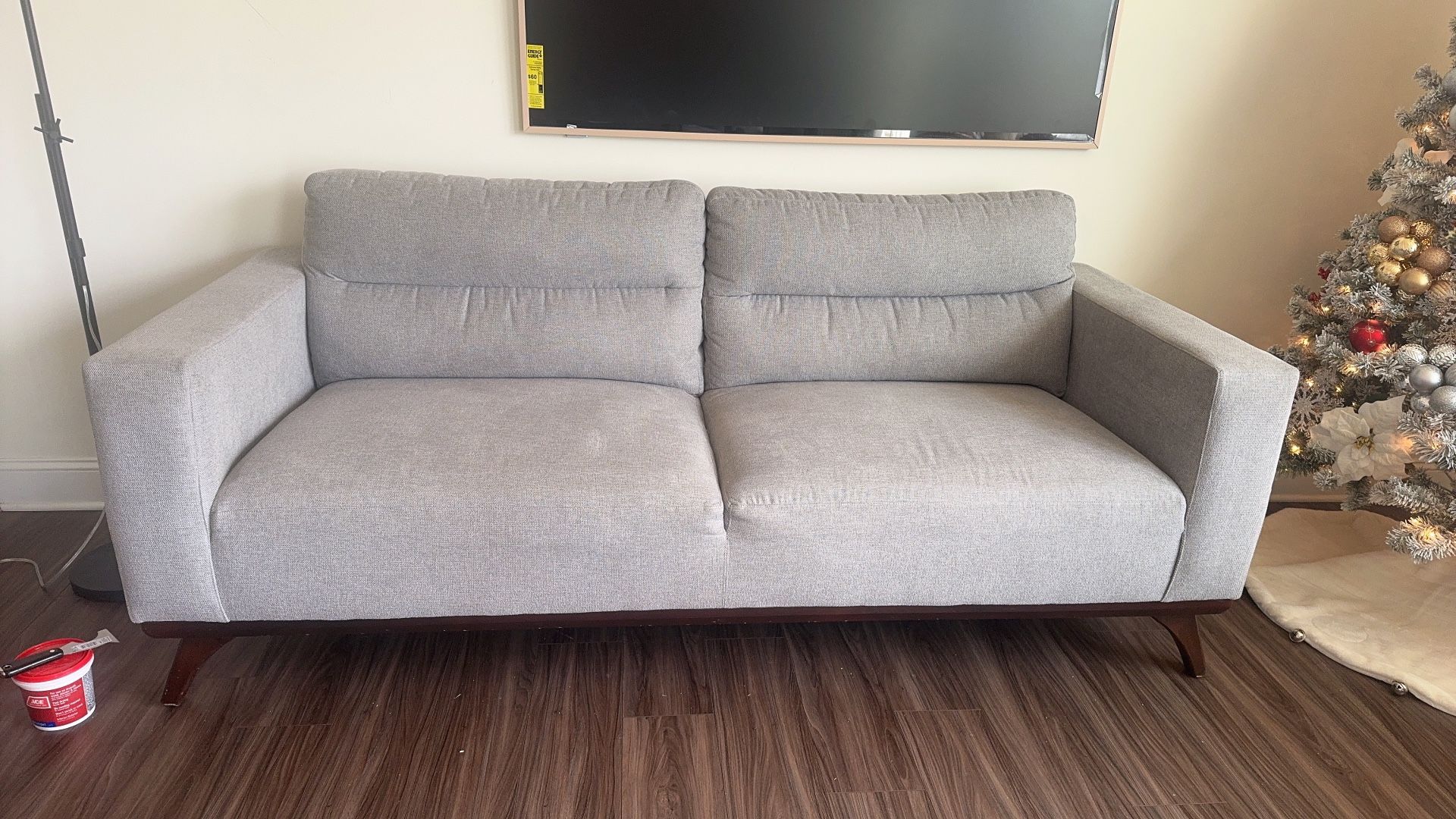 Light Gray Couch