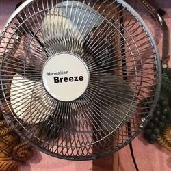 Stainless Steel Fan