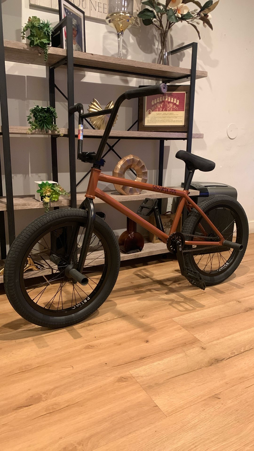 Custom BMX BIKE