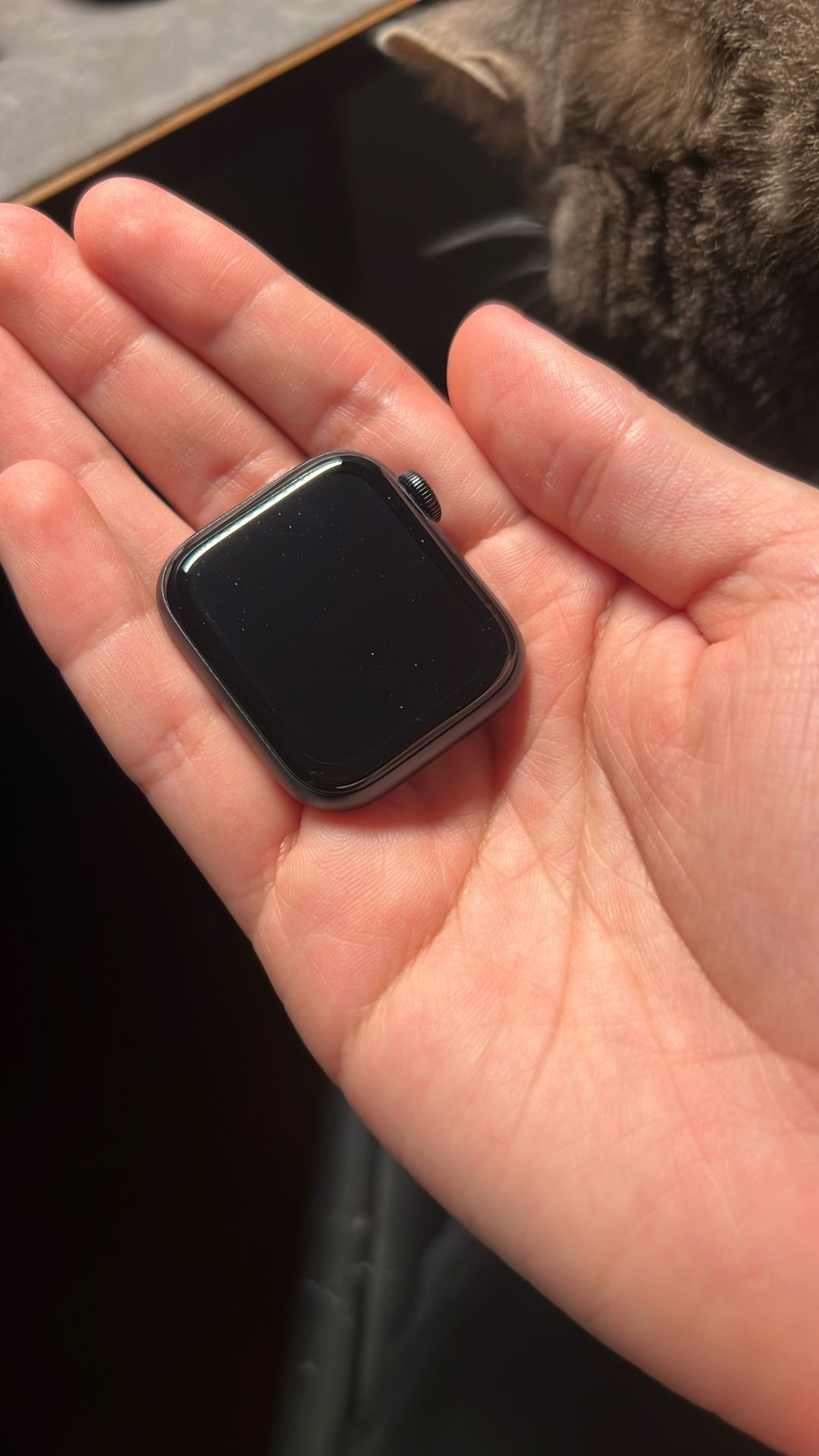 Apple Watch SE