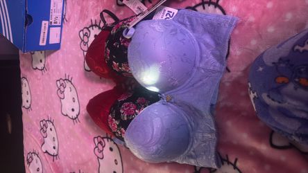 34C Push up bras 5$ each or 7 for 15$