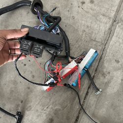 Ls Swap Wire harness