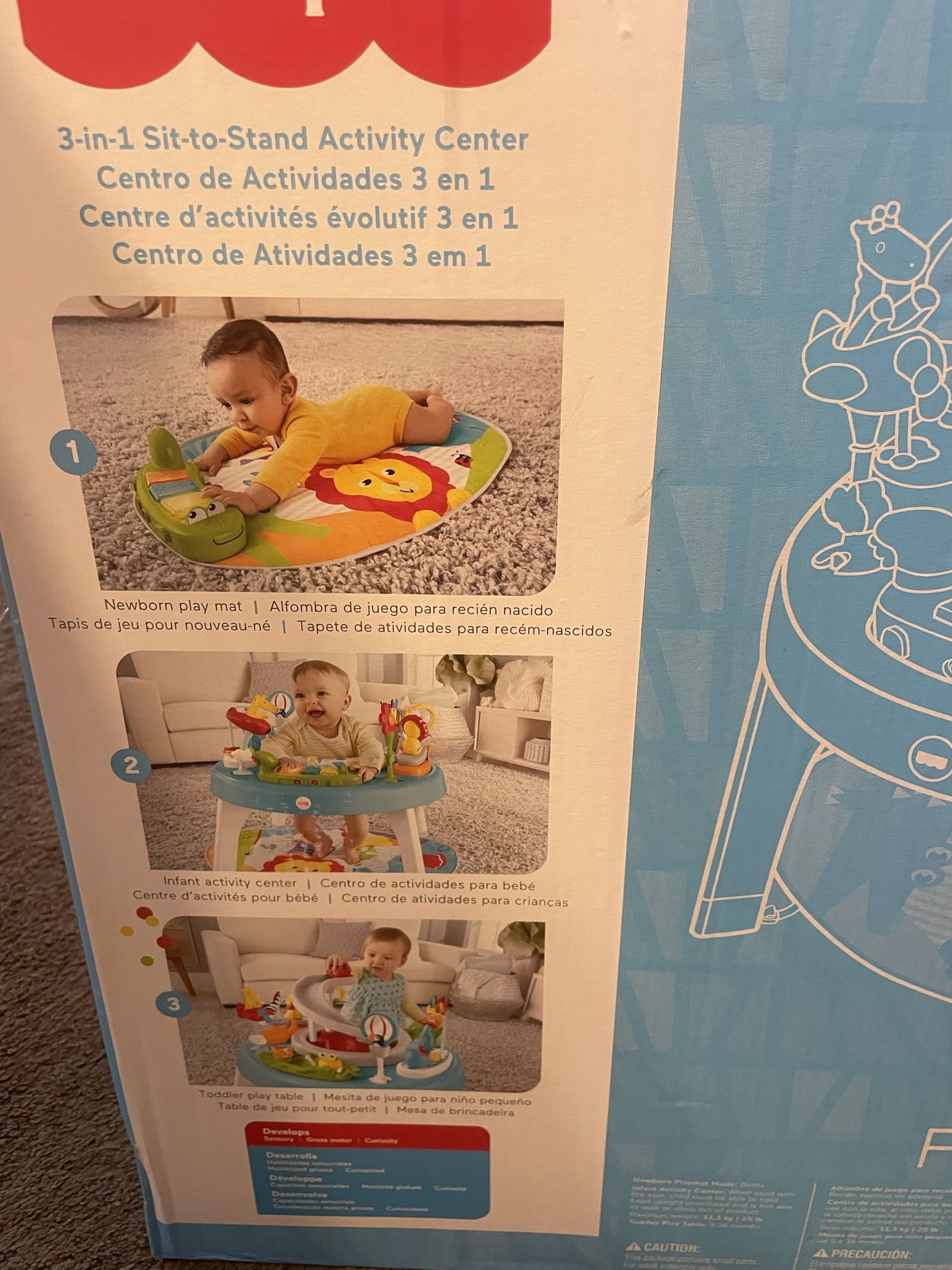 3 In 1 Sit To Stand 