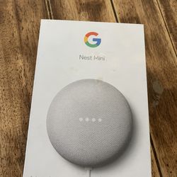 Google Nest Mini