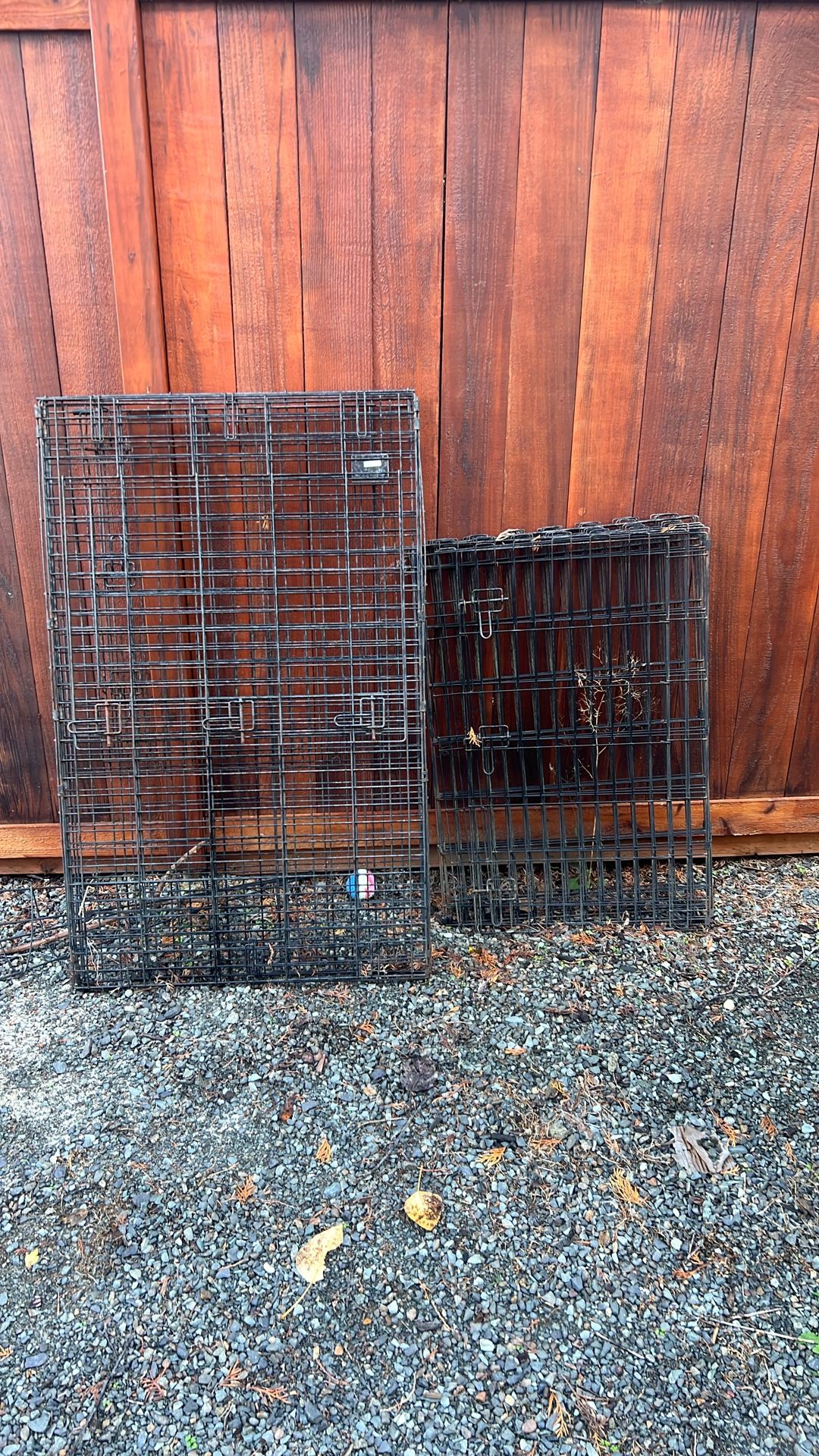 Free Dog Crate And Pen