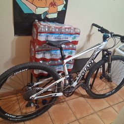 Giant Anthem X 29er mountain bike 