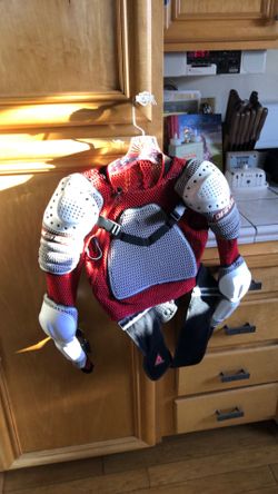 Dainese chest/back protector, Large