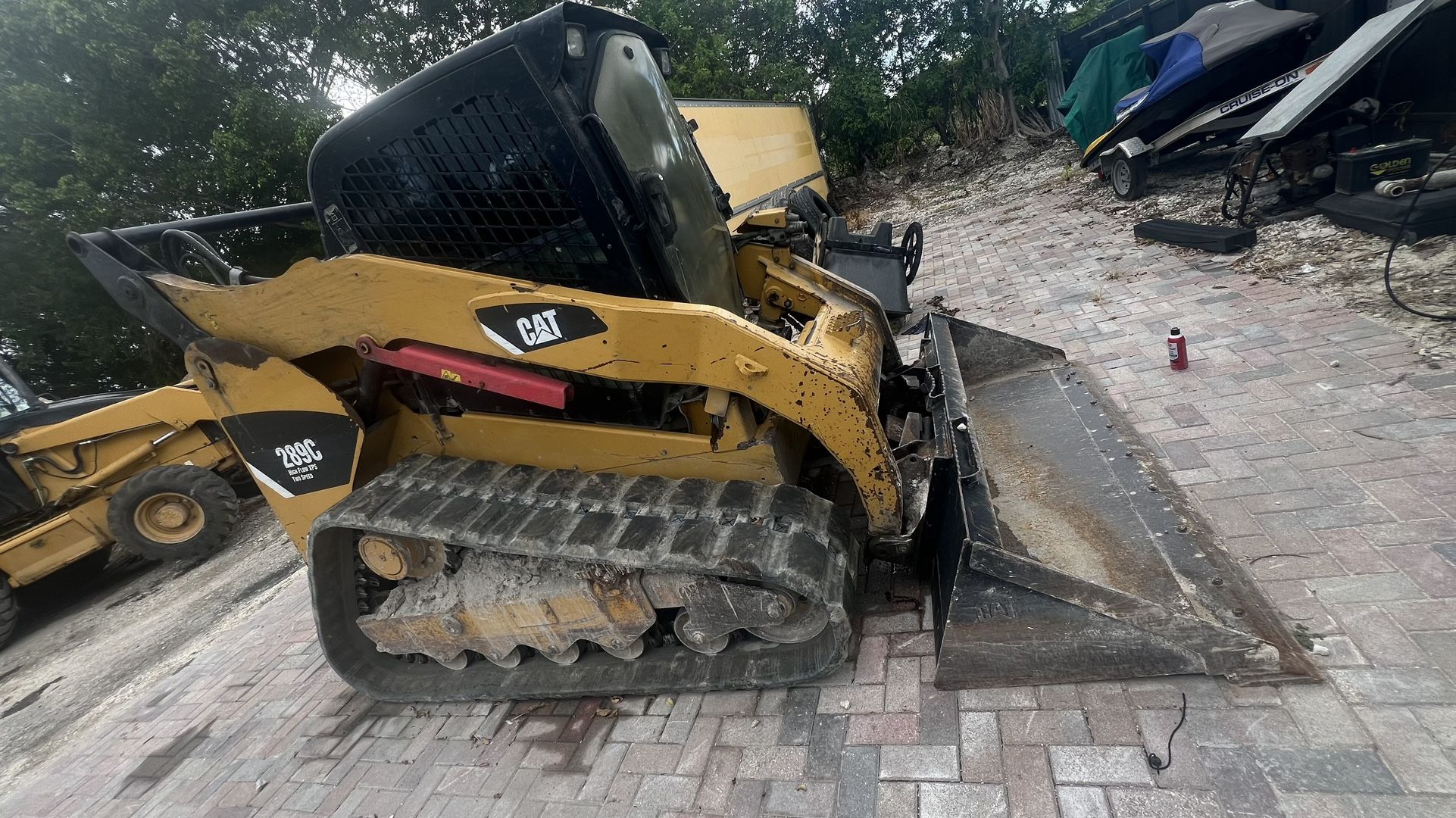 bobcat