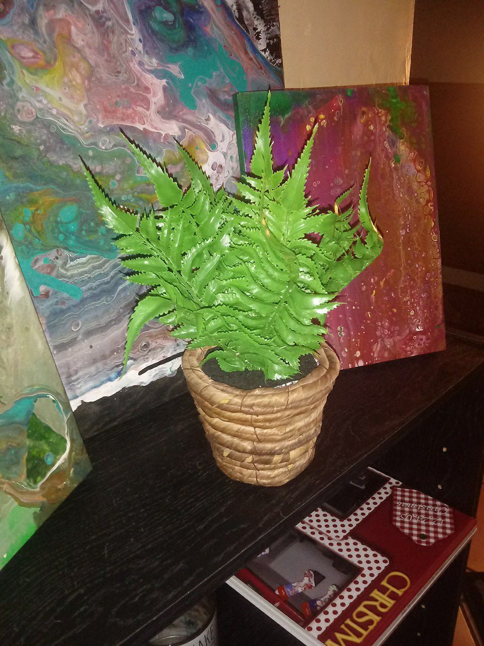 Decorative silk plant