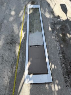 Pet Safe doggie door