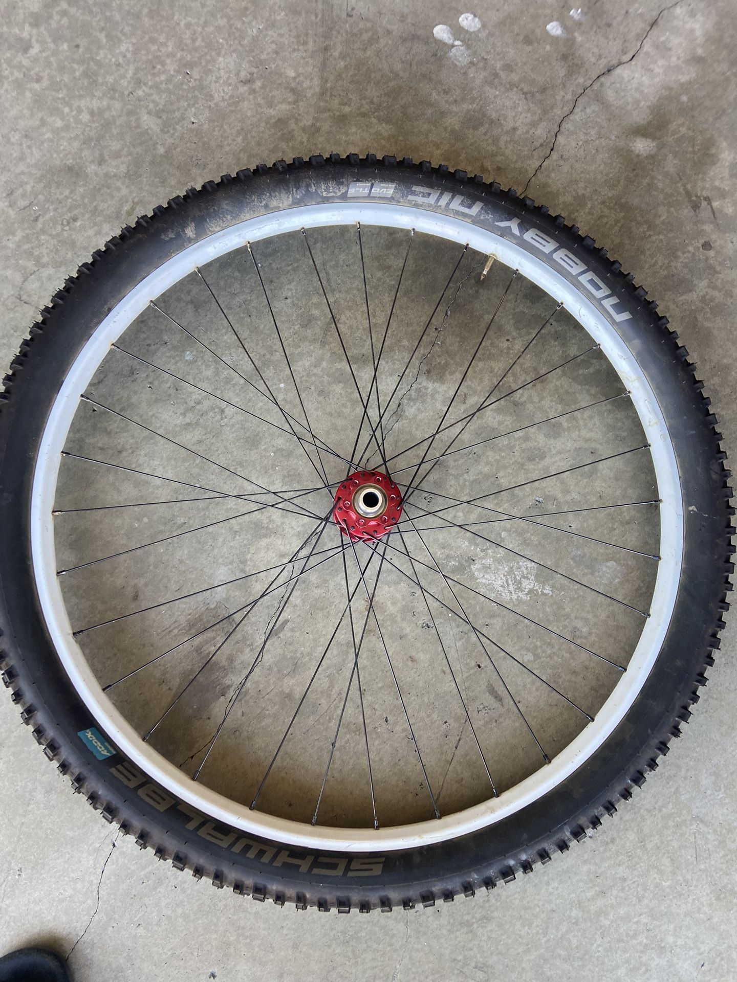 29er Front Rim With Chris King Hub