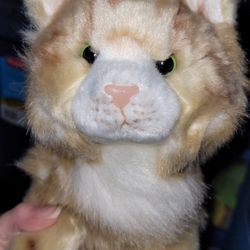 Cute Cat Plush