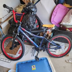 Schwinn Bike