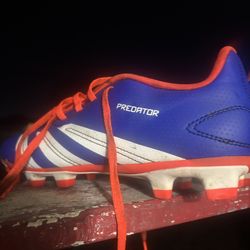 Adidas preds size 8
