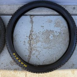 2 Mountain Bike Tires