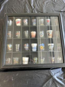 Shot Glasses With Hanging  Case