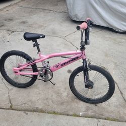 20 Inch Dyno