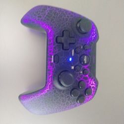 Pro Controller