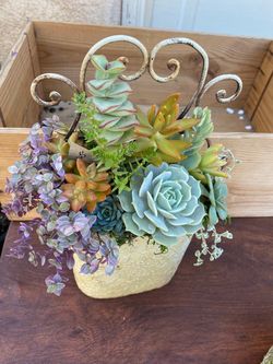 Vintage Metal Scroll Planter with Live Succulents | Shabby Chic Home Decor