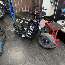 ebox dragster