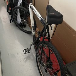 Cannondale Bicycle 