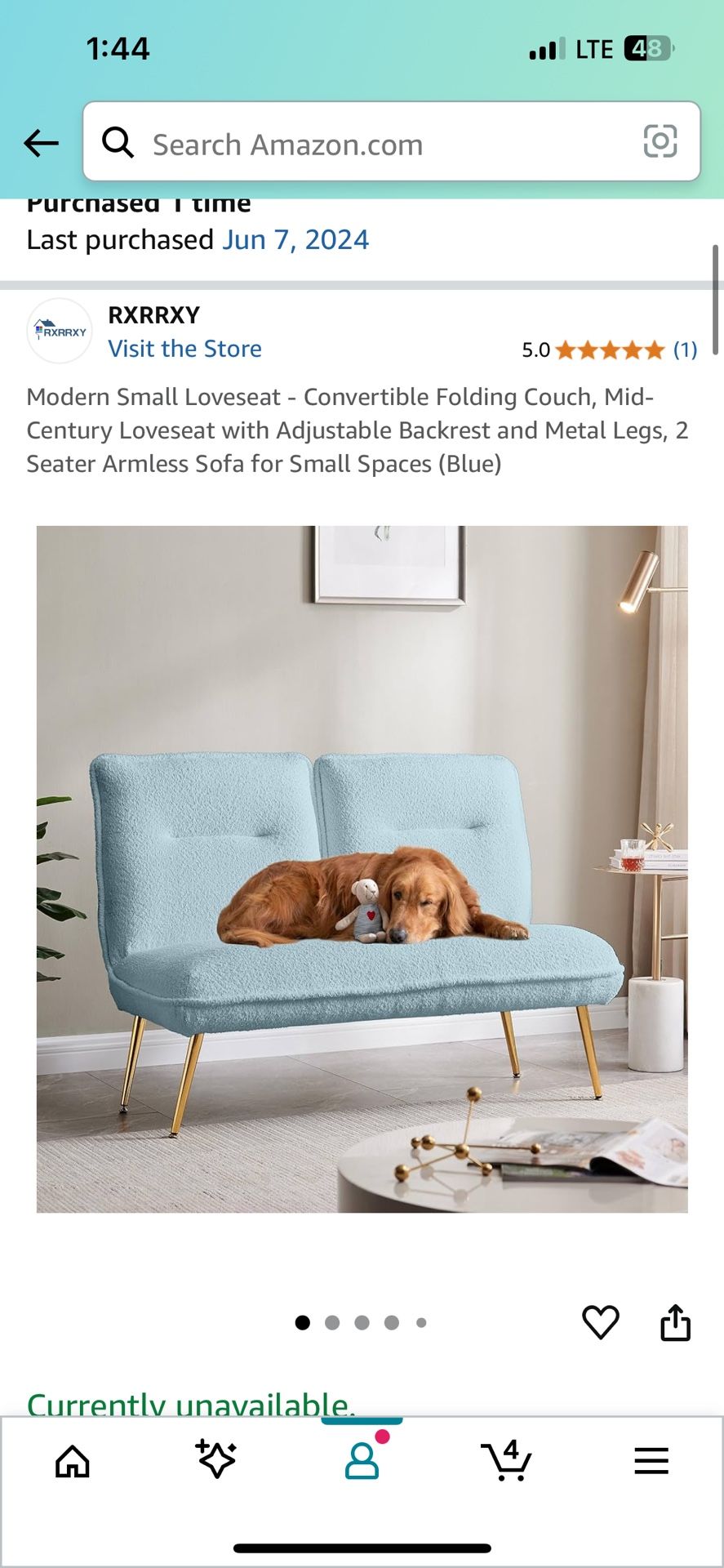 Couch And Pillows
