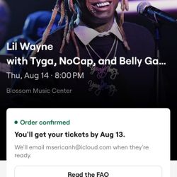 Lil Wayne VIP Box  Section 209 