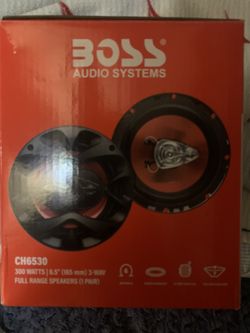 6x5 Boss Speakers 