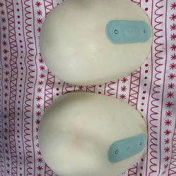 Willow Breast Pump